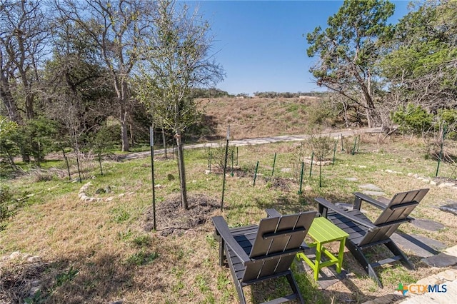 253 Sweeping Sage Ln, San Marcos, TX 78666 - photo 37