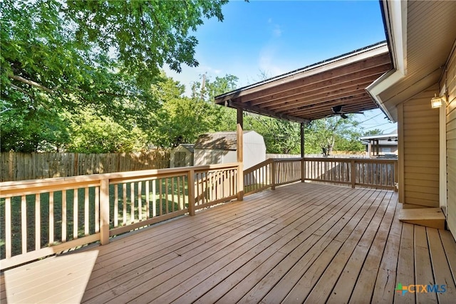2210 Lasso Dr, Round Rock, TX 78681 - photo 24