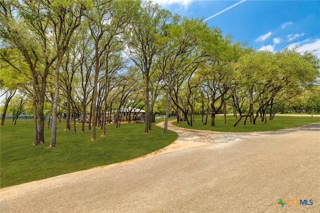1188 Edwards Blvd, New Braunfels, TX 78132 - photo 2