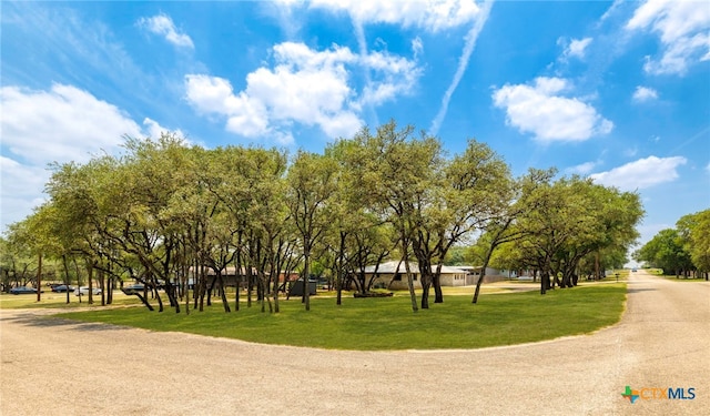 1188 Edwards Blvd, New Braunfels, TX 78132 - photo 44