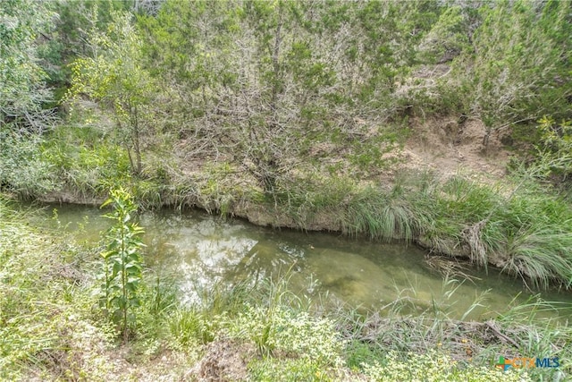 143 Platten Creek Rd, Boerne, TX 78006 - photo 33