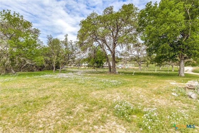 143 Platten Creek Rd, Boerne, TX 78006 - photo 24