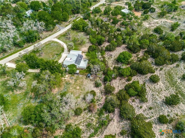 143 Platten Creek Rd, Boerne, TX 78006 - photo 30