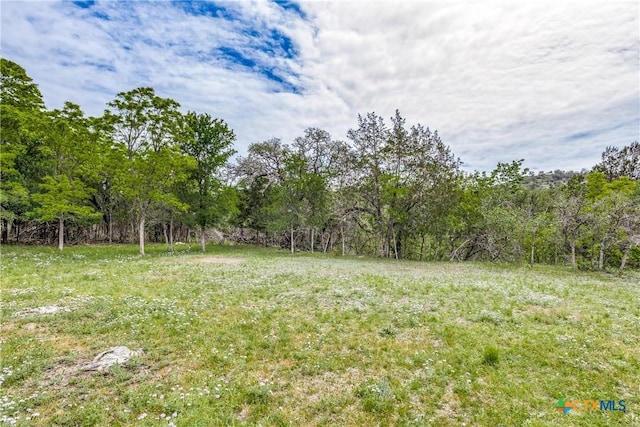 143 Platten Creek Rd, Boerne, TX 78006 - photo 27