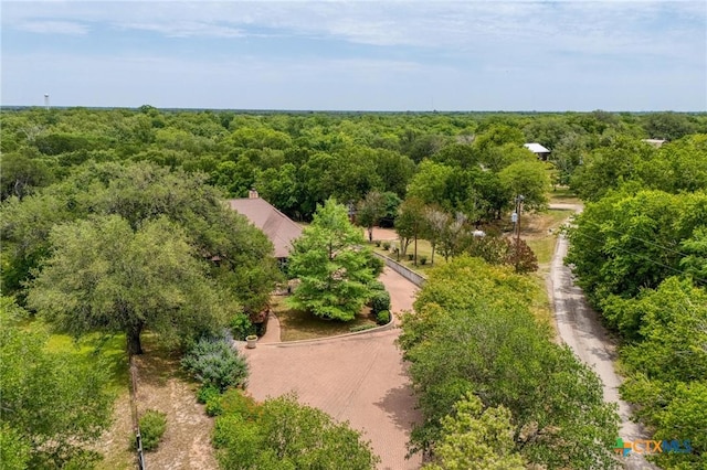 200 Red Bird Ln, Kingsbury, TX 78638 - drone / aerial view of a heavily wooded area