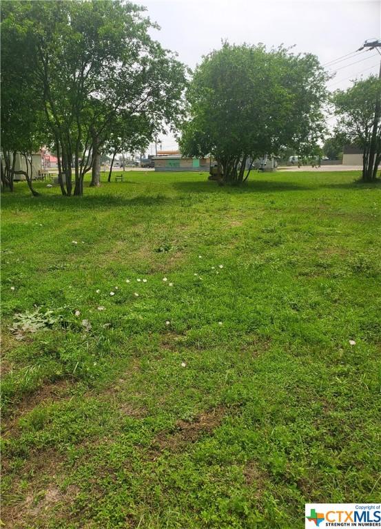 303-309 W Austin Ave, Seadrift, TX 77983 - photo 5