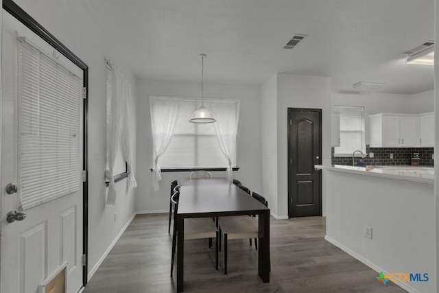 dining room featuring sink and dark wood-type flooring