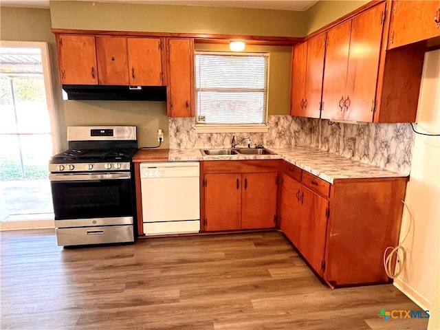 kitchen featuring dishwasher, sink, stainless steel stove, exhaust hood, and light wood-type flooring