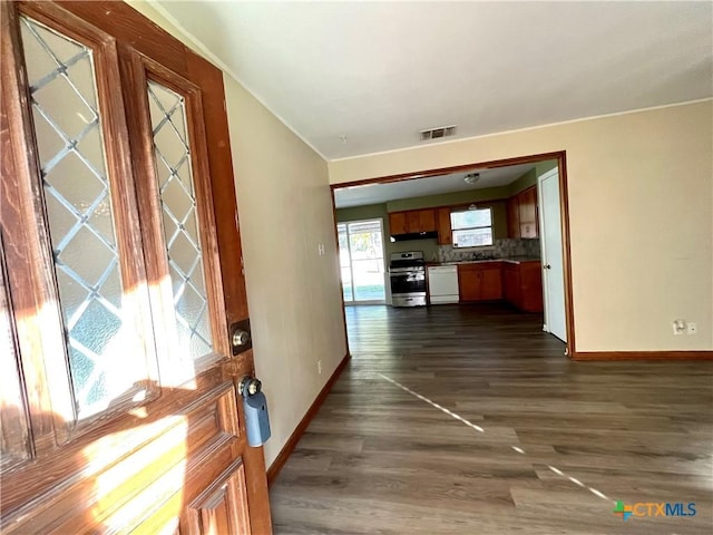 entrance foyer featuring dark wood-type flooring