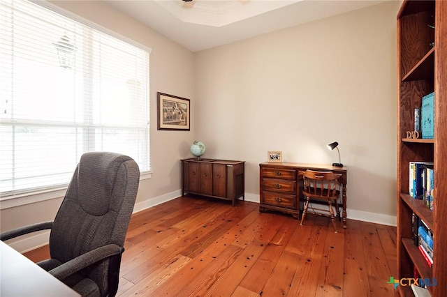 home office featuring hardwood / wood-style flooring