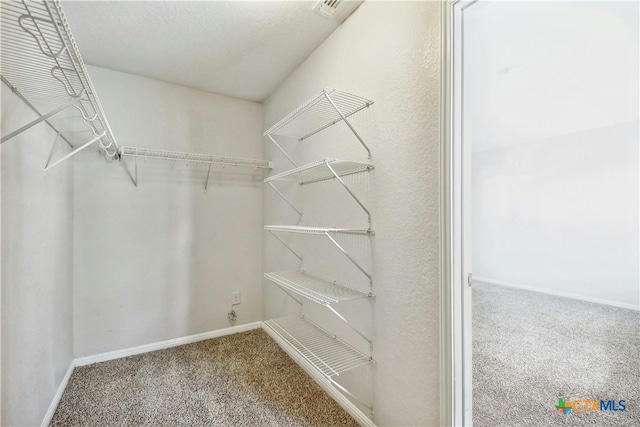 spacious closet with carpet