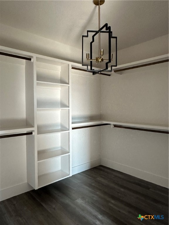 spacious closet featuring dark hardwood / wood-style floors and an inviting chandelier