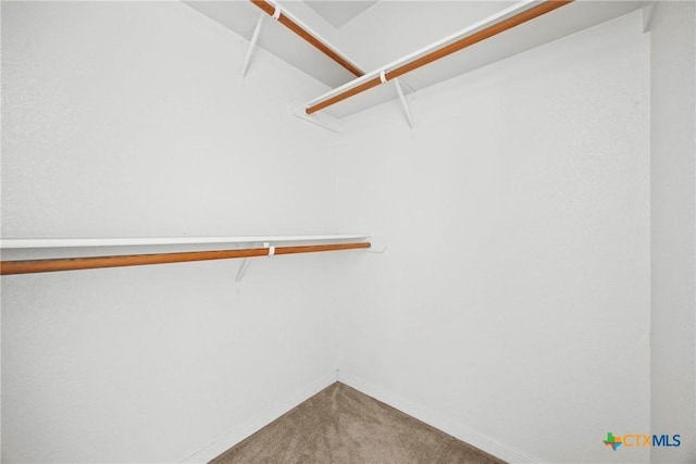 1212 Trailboss Dr, Killeen, TX 76549 - spacious closet with carpet