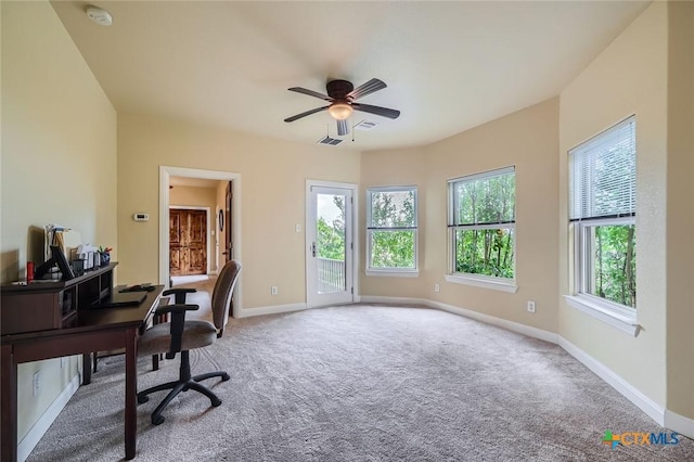 1104 Jennings Branch Rd, Georgetown, TX 78633 - photo 24