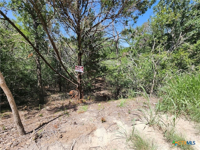 240 Iva Ln, Bastrop TX, 78602 land for sale