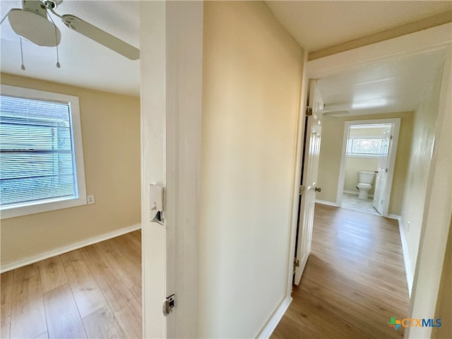 hall featuring light wood-type flooring and plenty of natural light