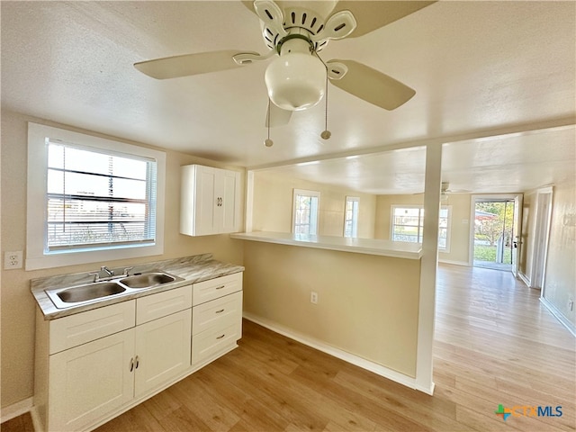 kitchen with light hardwood / wood-style flooring, plenty of natural light, and sink