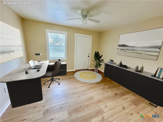 office area featuring ceiling fan and light hardwood / wood-style flooring