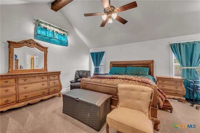 1253 Lutheran Church Rd, Copperas Cove, TX 76522 - photo 19
