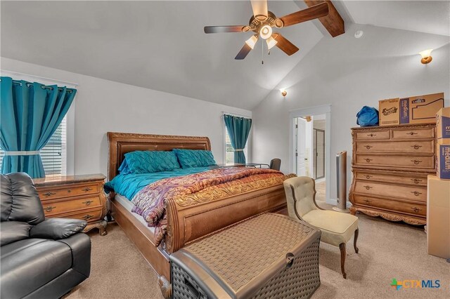 1253 Lutheran Church Rd, Copperas Cove, TX 76522 - photo 20