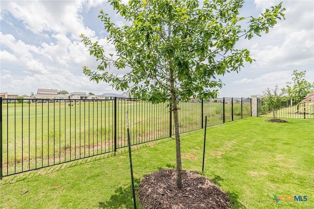 1308 Dancing Oak Ln, San Marcos, TX 78666 - view of yard