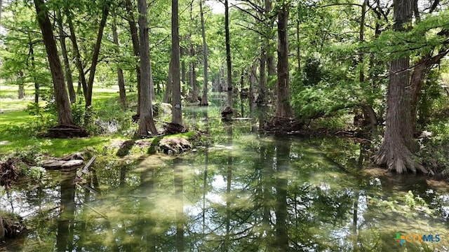 209 E Meadow Ln, Wimberley, TX 78676 - photo 27