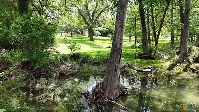209 E Meadow Ln, Wimberley, TX 78676 - photo 28