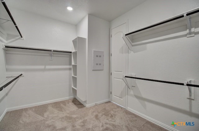 spacious closet featuring light carpet