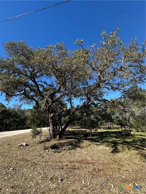 821 Wild Turkey Run, New Braunfels TX, 78132 land for sale