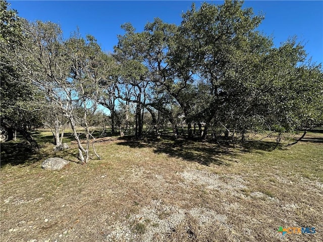 Listing photo 3 for 821 Wild Turkey Run, New Braunfels TX 78132