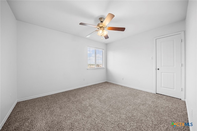 825 Terra Cotta Ct, Harker Heights, TX 76548 - photo 21