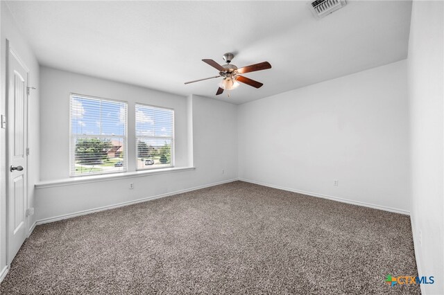 825 Terra Cotta Ct, Harker Heights, TX 76548 - photo 20
