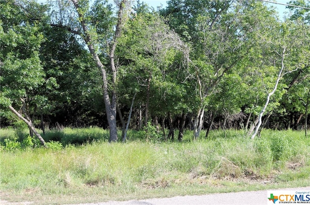 5922 Denmans Loop, Belton TX, 76513 land for sale