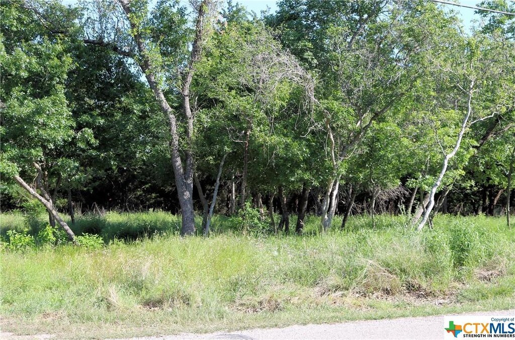 5922 Denmans Loop, Belton, TX 76513 - photo 1
