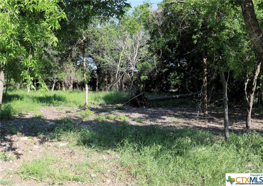 5922 Denmans Loop, Belton, TX 76513 - photo 3