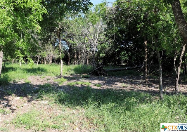 5922 Denmans Loop, Belton, TX 76513 - photo 3