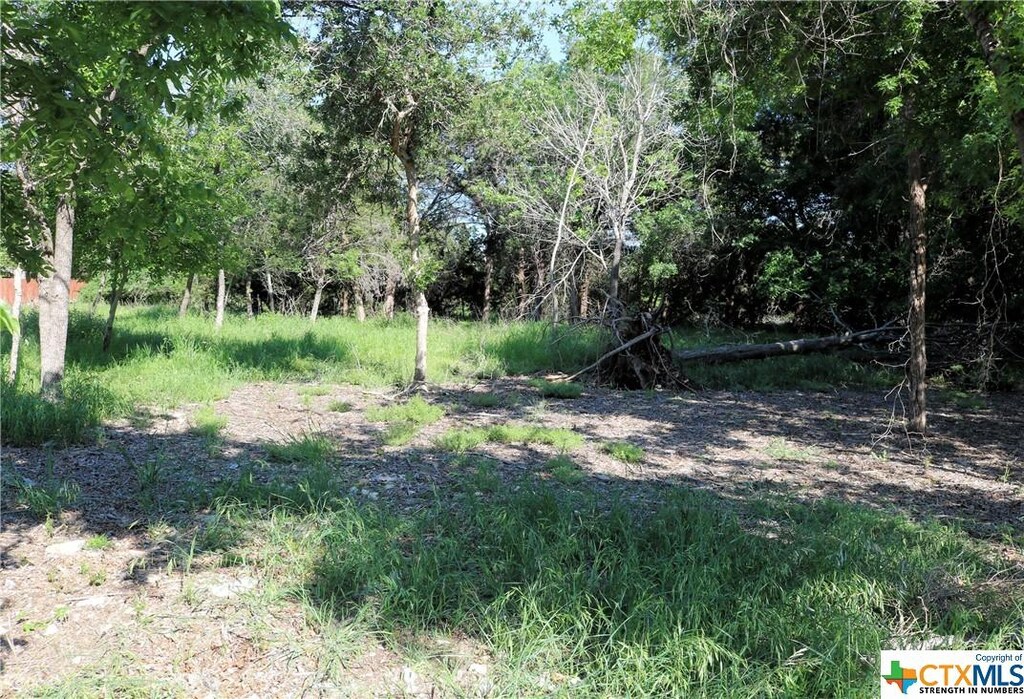 5922 Denmans Loop, Belton, TX 76513 - photo 2