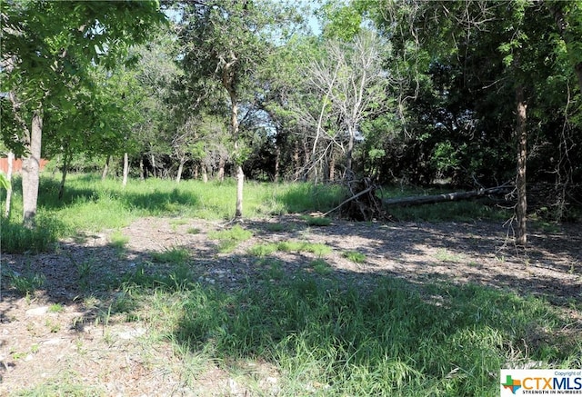 5922 Denmans Loop, Belton, TX 76513 - photo 2