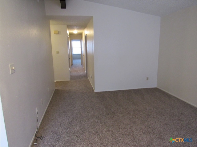 empty room featuring carpet