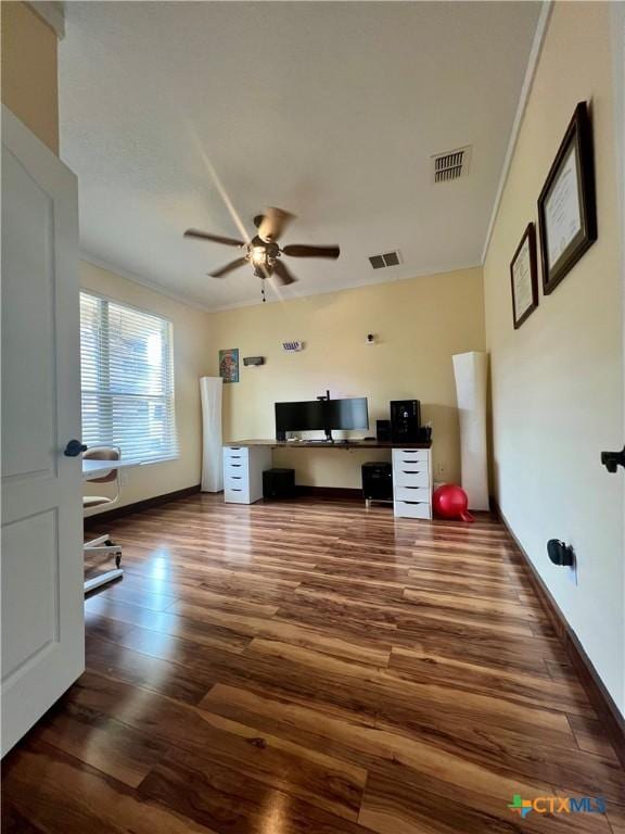 7623 Eagle Park Dr, San Antonio, TX 78250 - photo 17