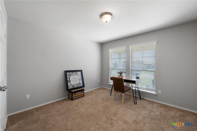 6300 Dorothy Muree Dr, Temple, TX 76502 - photo 15