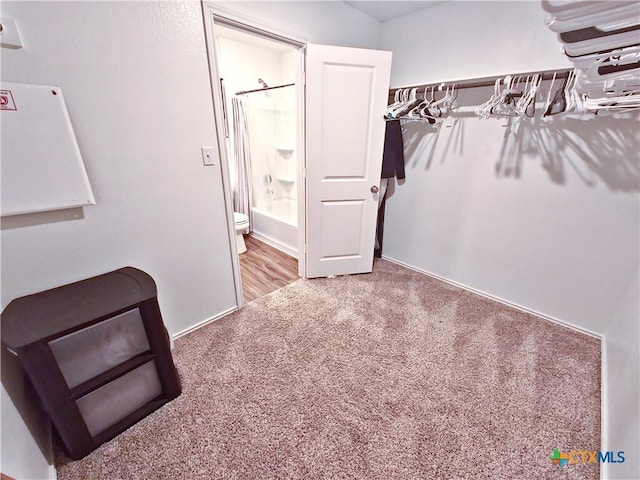 spacious closet featuring carpet flooring