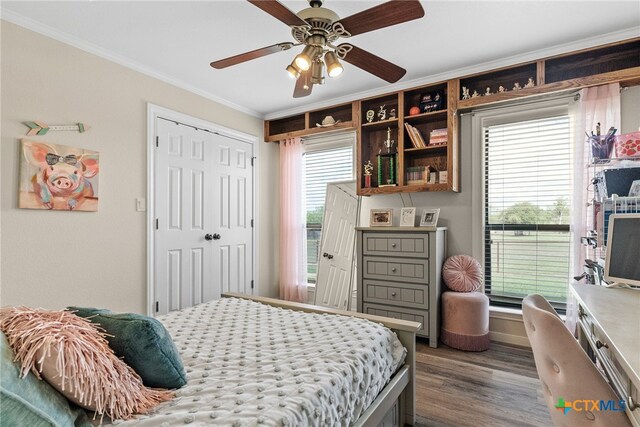 bedroom with ornamental molding, a closet, wood-type flooring, and ceiling fan