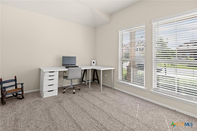 2520 Cortona St, Harker Heights, TX 76548 - carpeted home office featuring healthy amount of natural light