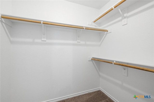 5620 Drystone Ln, Killeen, TX 76542 - spacious closet featuring dark carpet