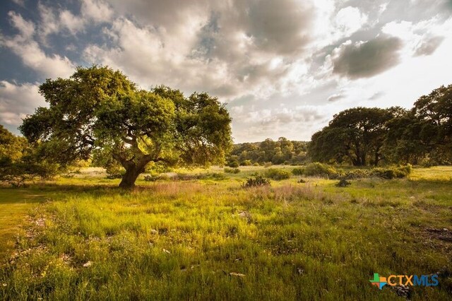 view of local wilderness featuring a rural view