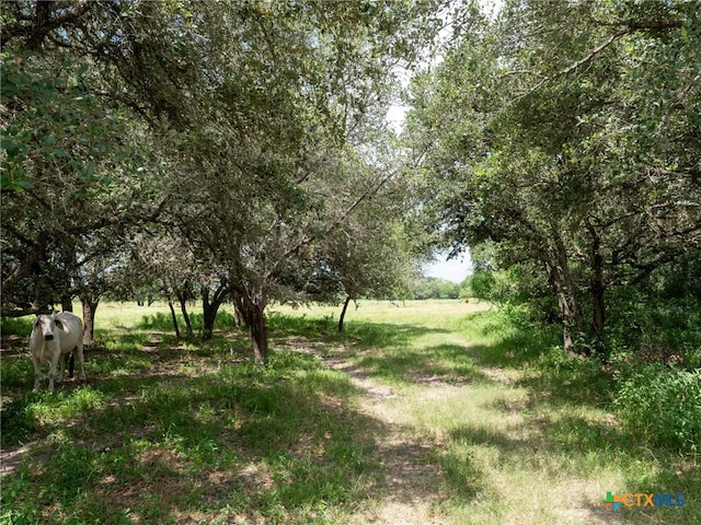 1371 Fannin Oaks Rd, Victoria, TX 77905 - photo 33