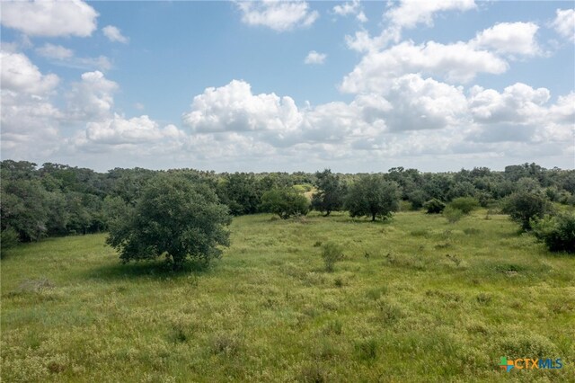 1371 Fannin Oaks Rd, Victoria, TX 77905 - photo 37