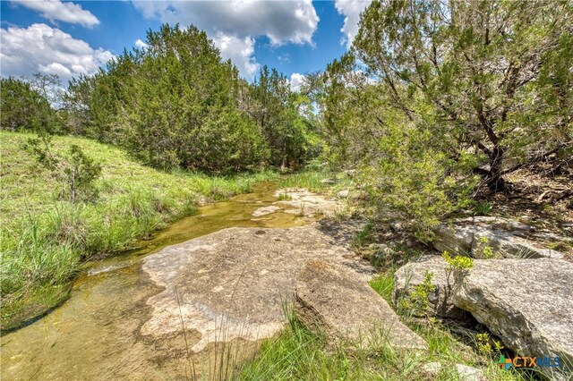 Listing photo 3 for TRACT9A-2 Miller Creek Blf, Briggs TX 78608