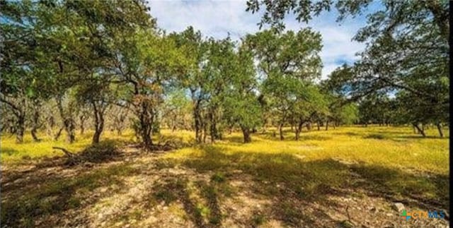 Listing photo 2 for LOT3 Scott Branch Rd, Harper TX 78631